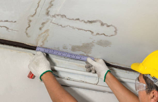 Reliable Mold Remediation contractor in Wadmalaw Island, SC by Water Damage Irwin